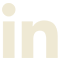 LinkedIn Icon