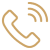 Phone Icon